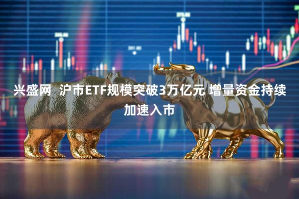 兴盛网  沪市ETF规模突破3万亿元 增量资金持续加速入市