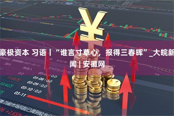 豪极资本 习语丨“谁言寸草心，报得三春晖”_大皖新闻 | 安徽网
