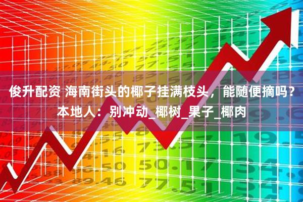 俊升配资 海南街头的椰子挂满枝头，能随便摘吗？本地人：别冲动_椰树_果子_椰肉