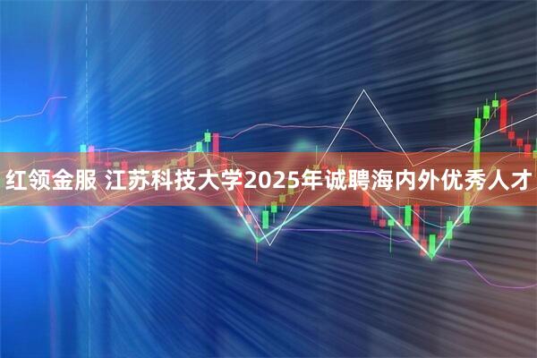 红领金服 江苏科技大学2025年诚聘海内外优秀人才