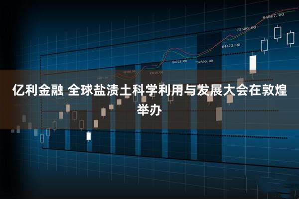 亿利金融 全球盐渍土科学利用与发展大会在敦煌举办
