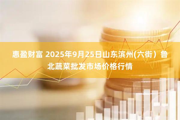 惠盈财富 2025年9月25日山东滨州(六街）鲁北蔬菜批发市场价格行情