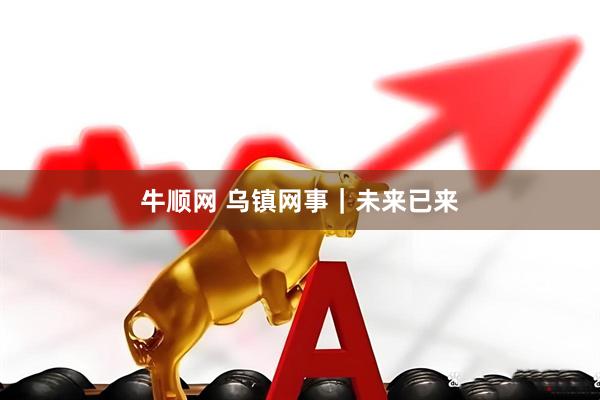 牛顺网 乌镇网事｜未来已来