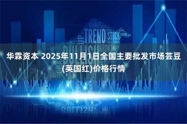华霖资本 2025年11月1日全国主要批发市场芸豆(英国红)价格行情