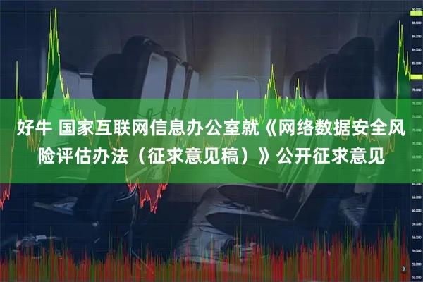 好牛 国家互联网信息办公室就《网络数据安全风险评估办法(征求意见稿)》公开征求意见