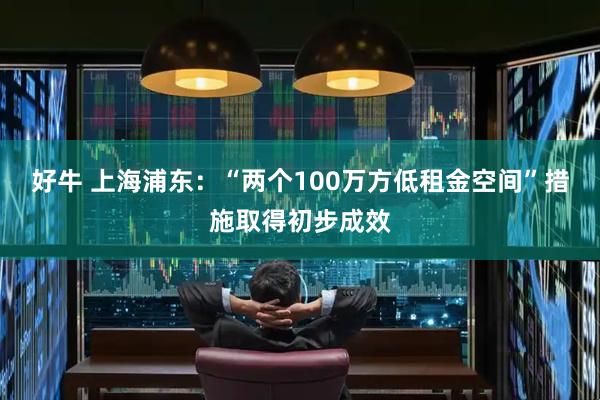 好牛 上海浦东:“两个100万方低租金空间”措施取得初步成效