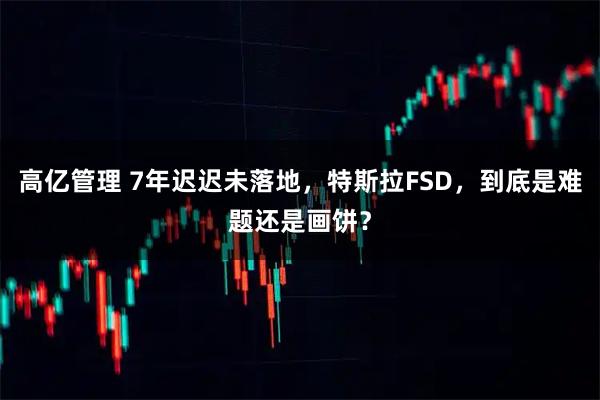 高亿管理 7年迟迟未落地，特斯拉FSD，到底是难题还是画饼？